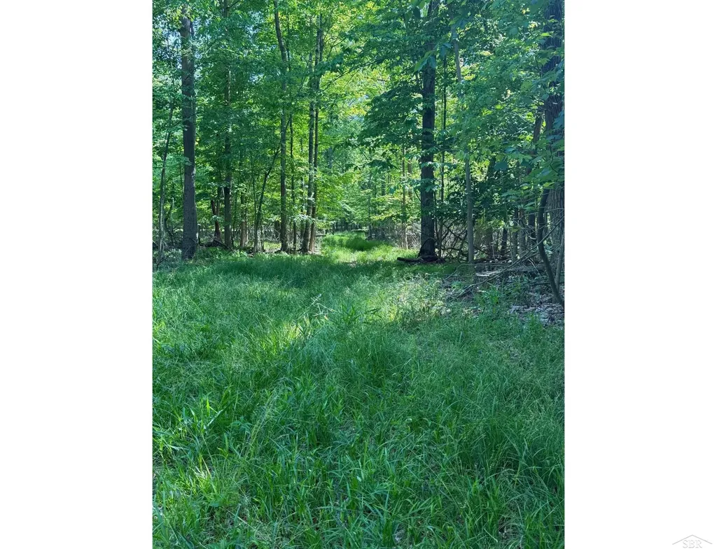 0 Lange Road Birch Run Township MI 48722