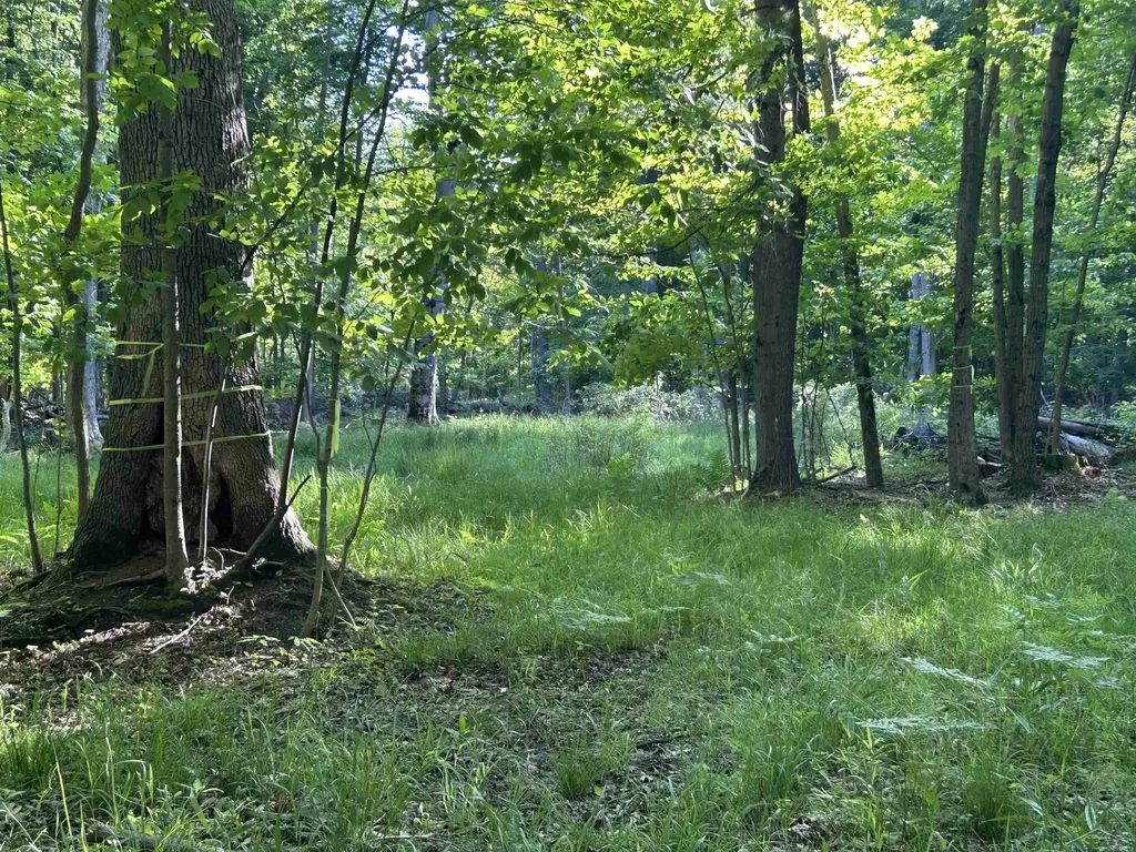 0 Lange Road Birch Run Township MI 48722