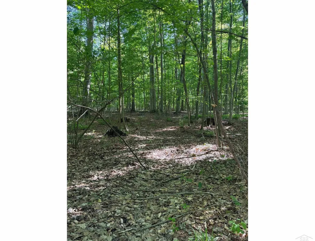 0 Lange Road Birch Run Township MI 48722