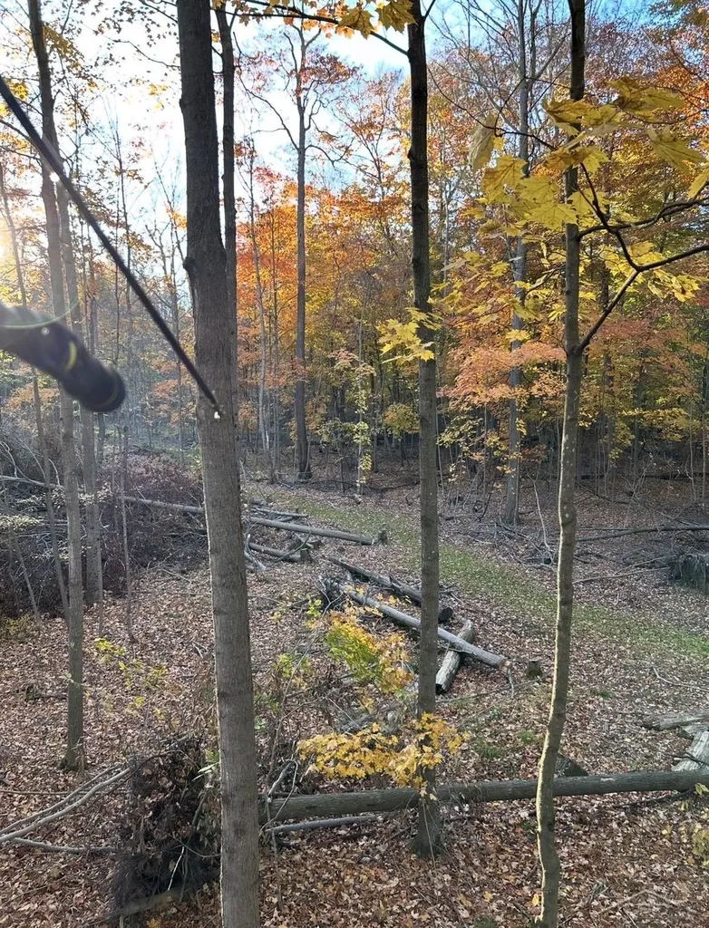 0 Lange Road Birch Run Township MI 48722
