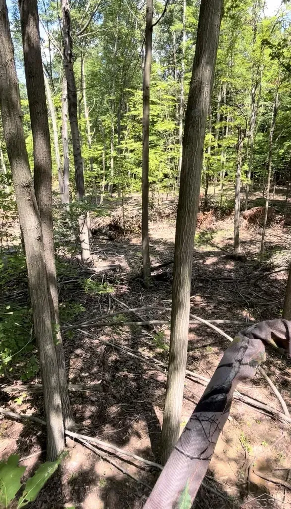 0 Lange Road Birch Run Township MI 48722
