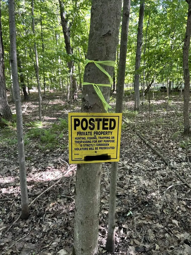 0 Lange Road Birch Run Township MI 48722