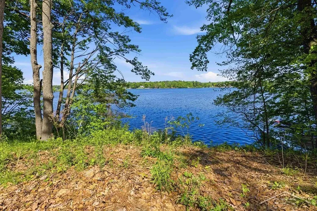 3340 N Lakeside Drive Jerome Township MI 48657