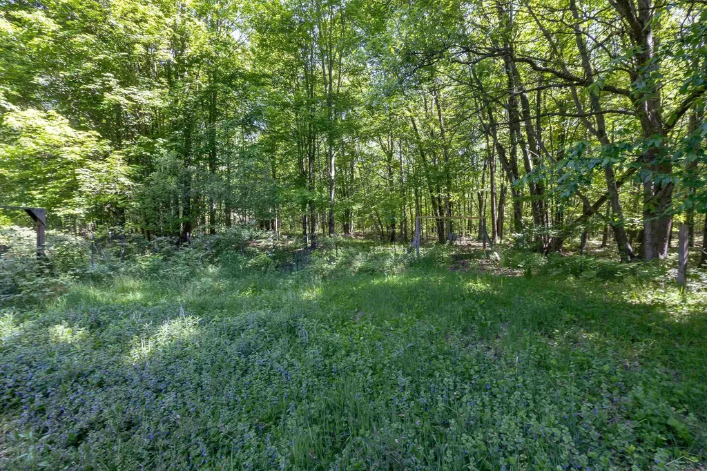 1274 W Gordonville Road Lee Township MI 48640