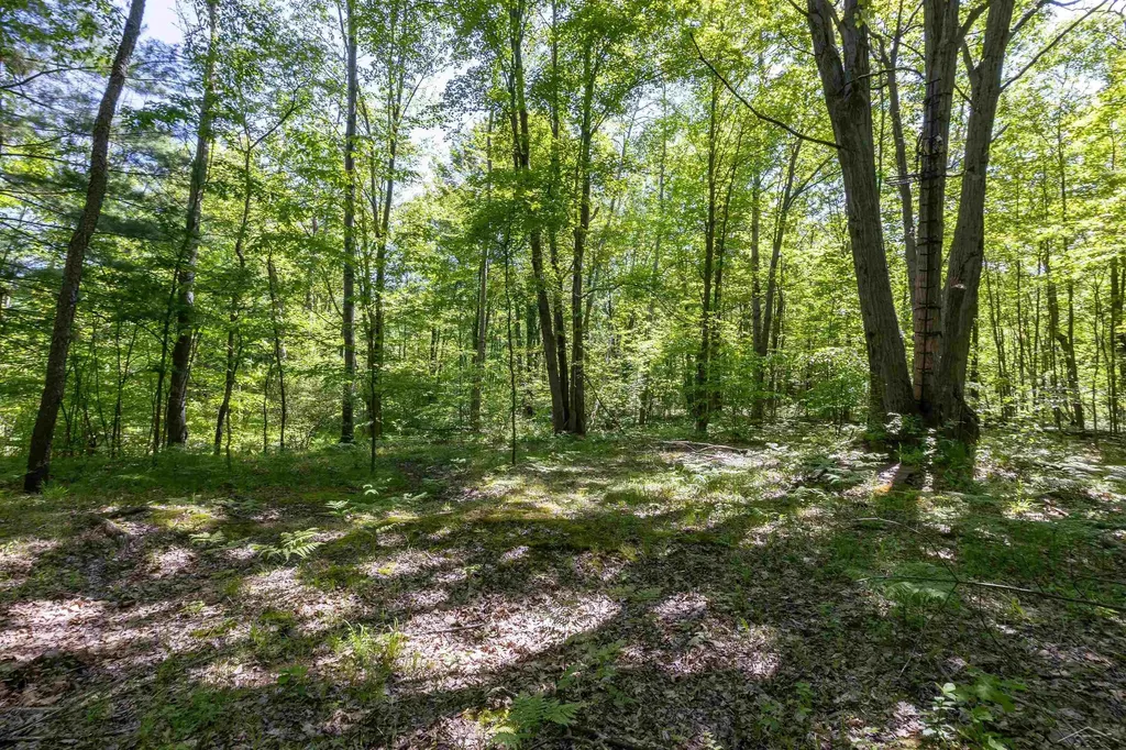1274 W Gordonville Road Lee Township MI 48640