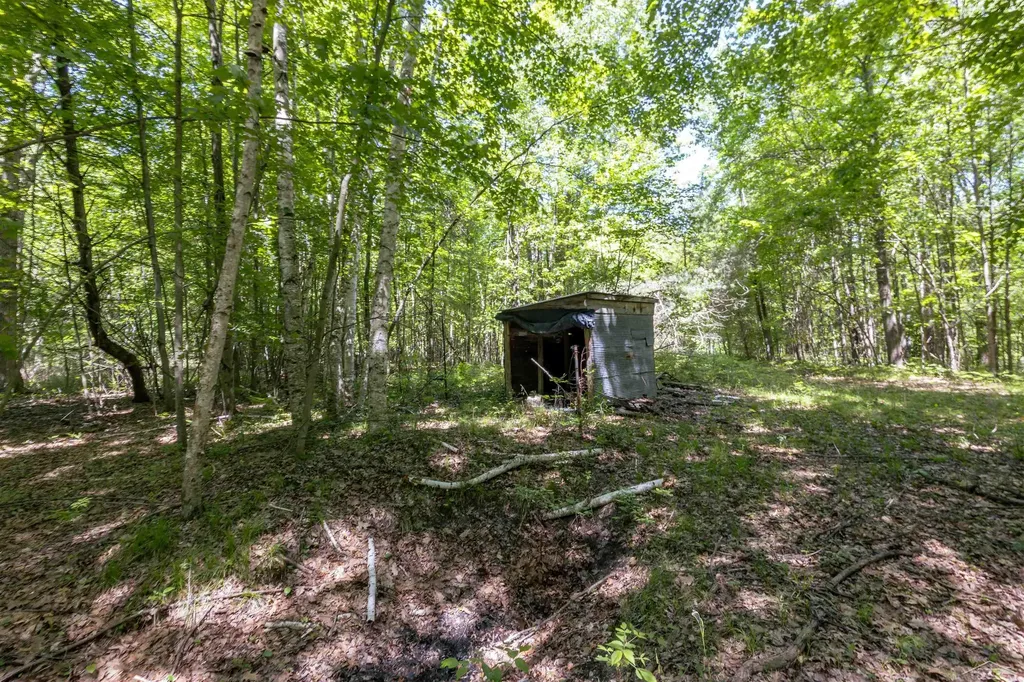1274 W Gordonville Road Lee Township MI 48640