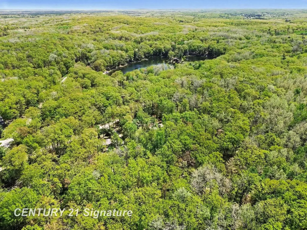 5757 Oak Road Rose Township MI 48654