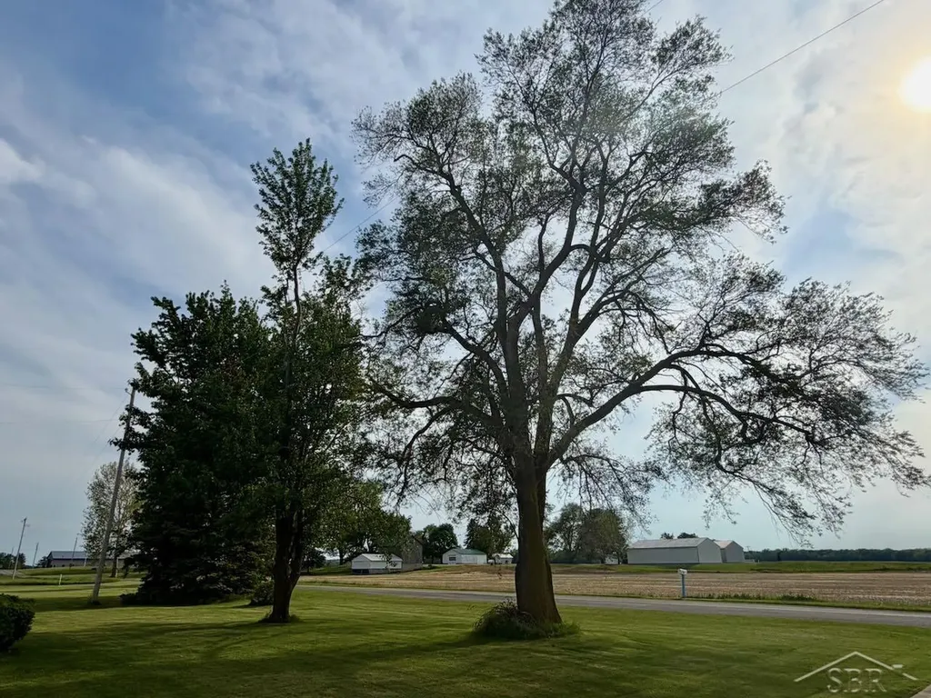 11403 Turner Road St. Charles Township MI 48655