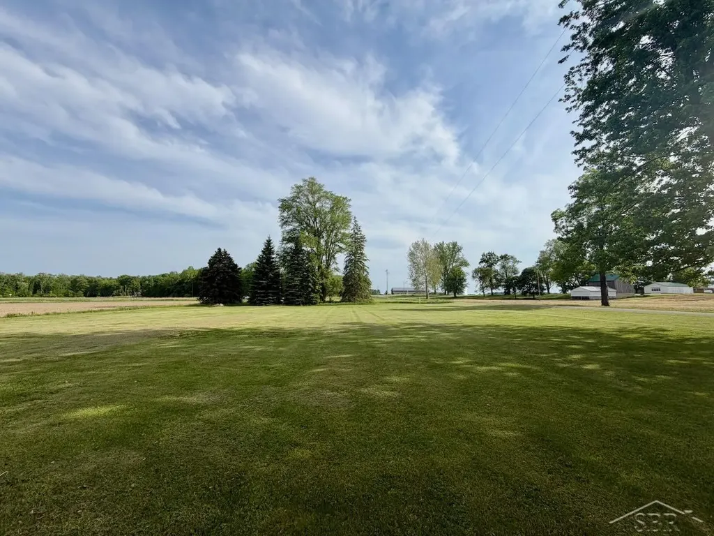 11403 Turner Road St. Charles Township MI 48655