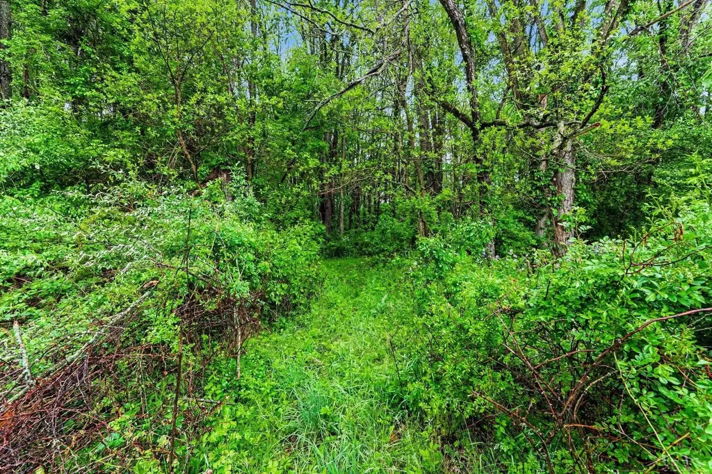 4188 S K Drive Leroy Township MI 49051