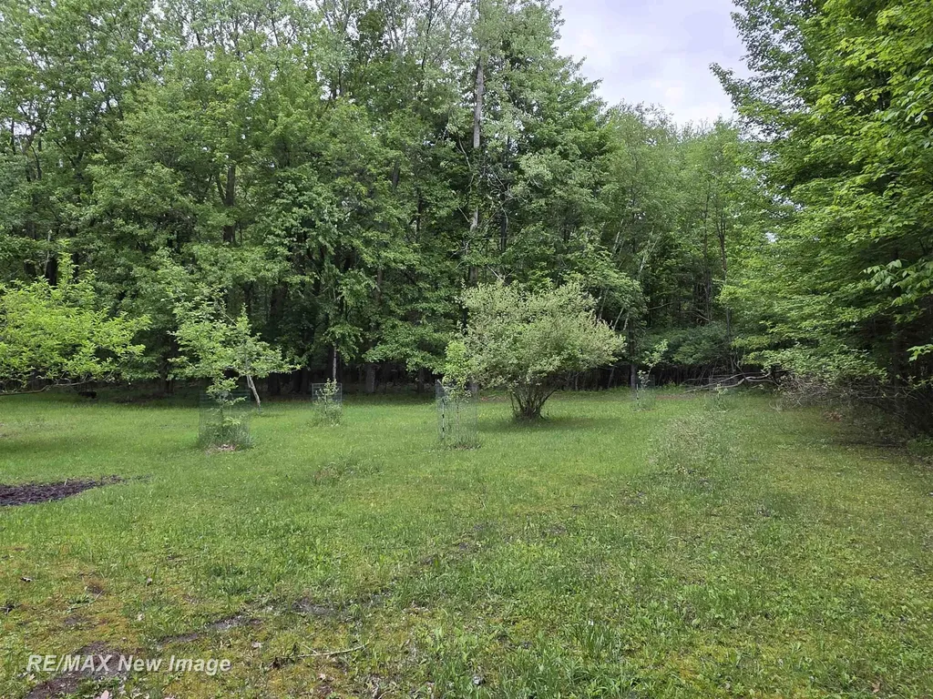 11360 S Steel Road Marion Township MI 48614