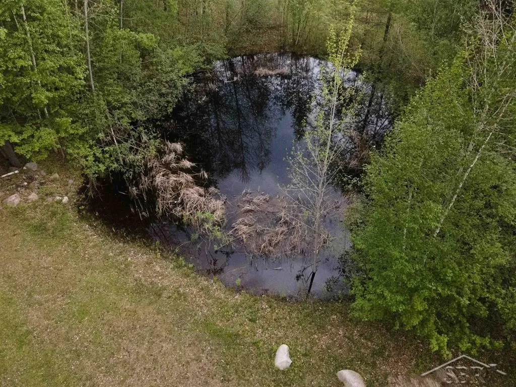 1156 S Alamando Road Greendale Township MI 48883