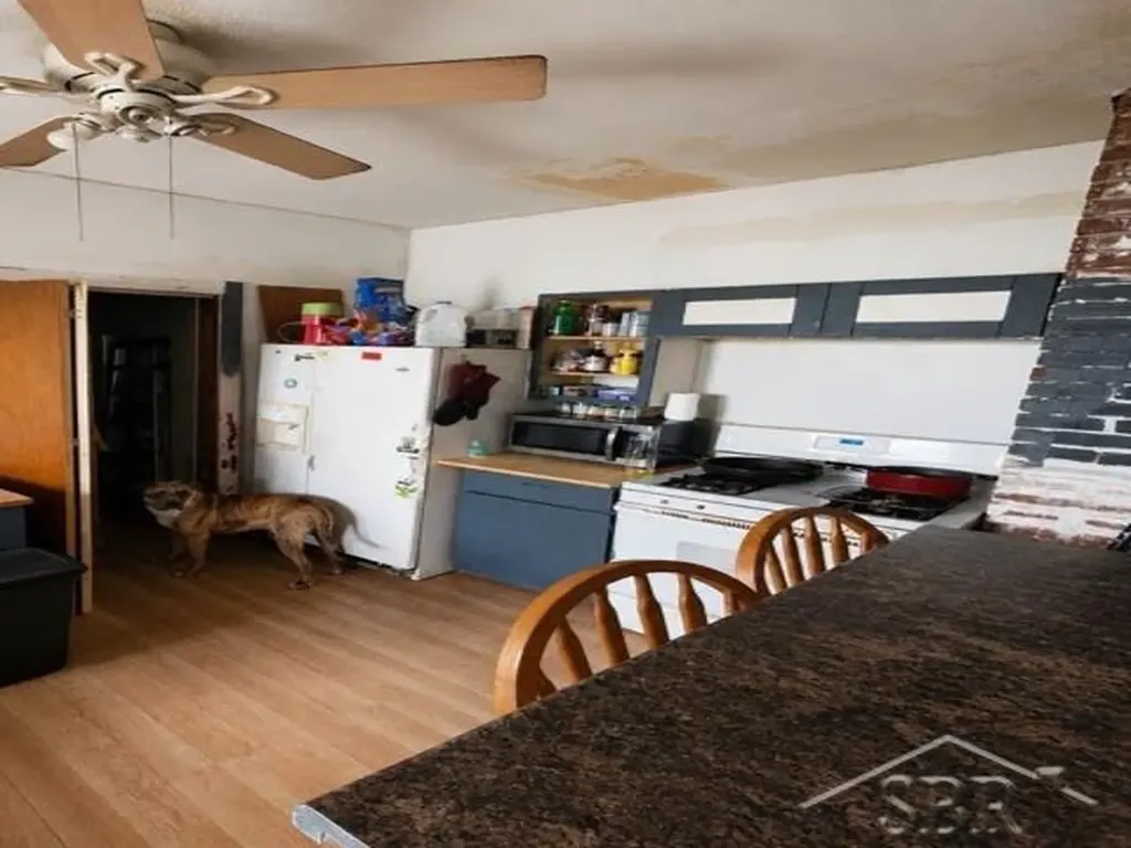 1029 Lorene Avenue Mt. Morris City MI 48458