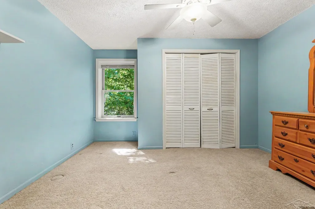 1038 E Freeland Road Mt. Haley Township MI 48637