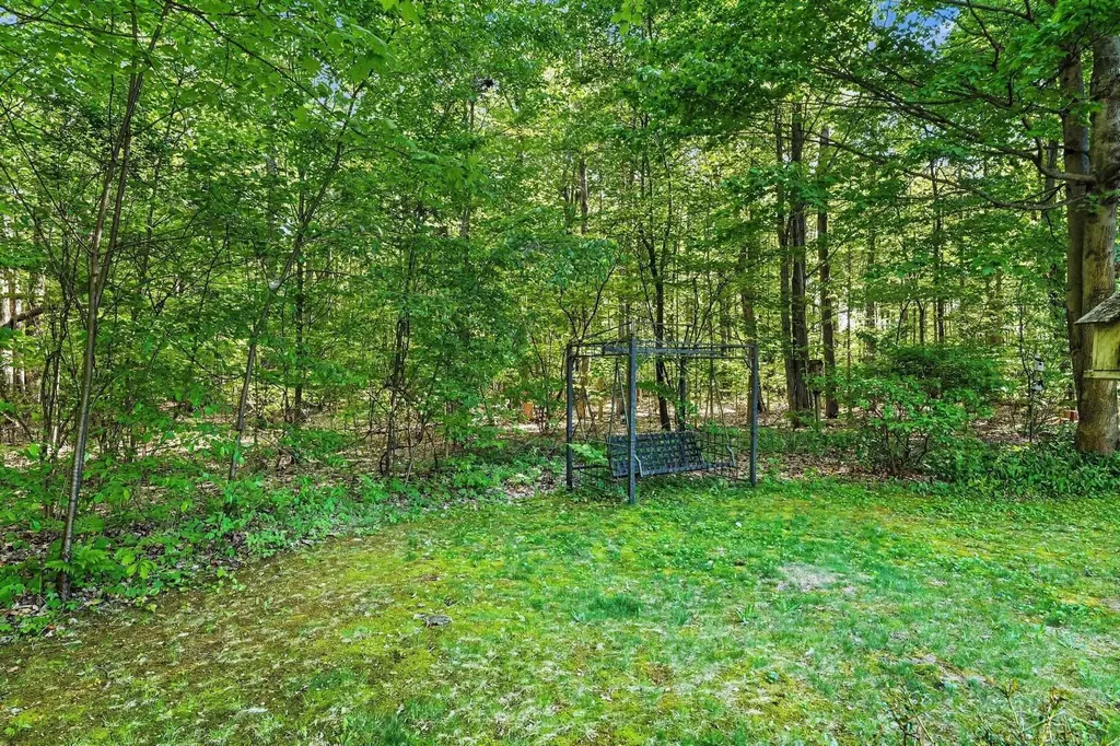 1038 E Freeland Road Mt. Haley Township MI 48637