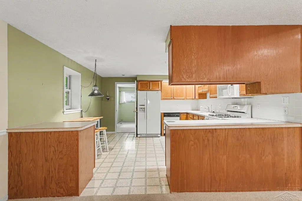 1038 E Freeland Road Mt. Haley Township MI 48637