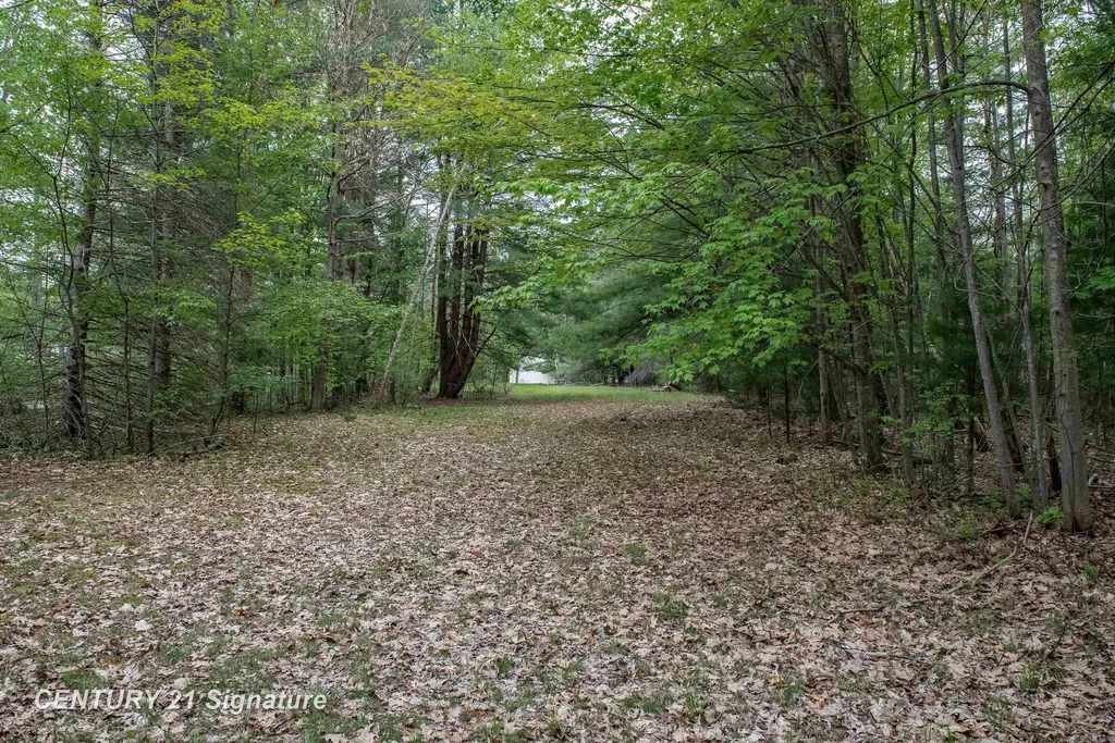 5242 Ostlund Drive Billings Township MI 48628