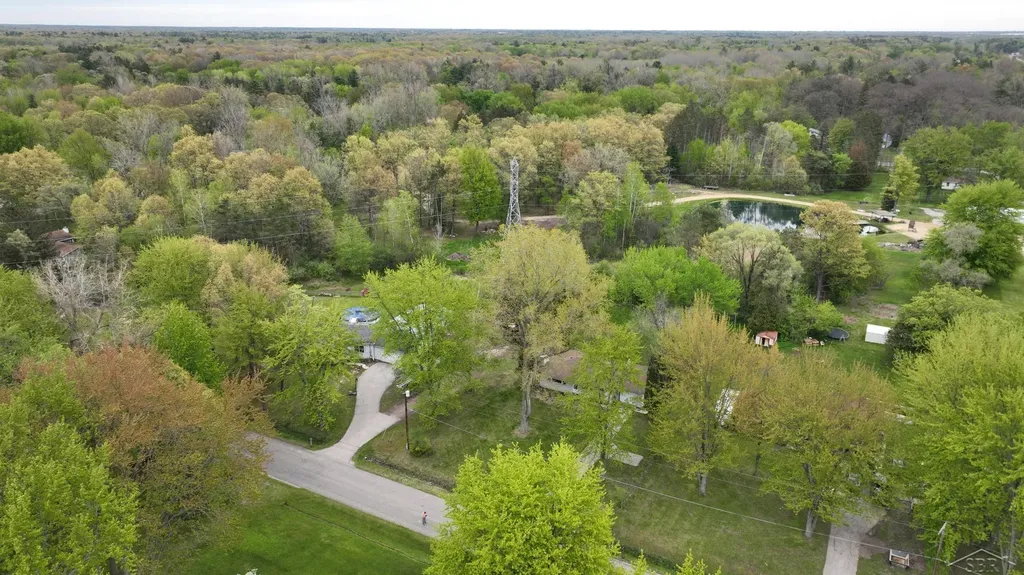 50 N Orlo Road Homer Township MI 48640