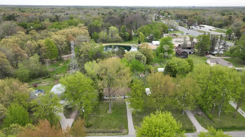 50 N Orlo Road Homer Township MI 48640