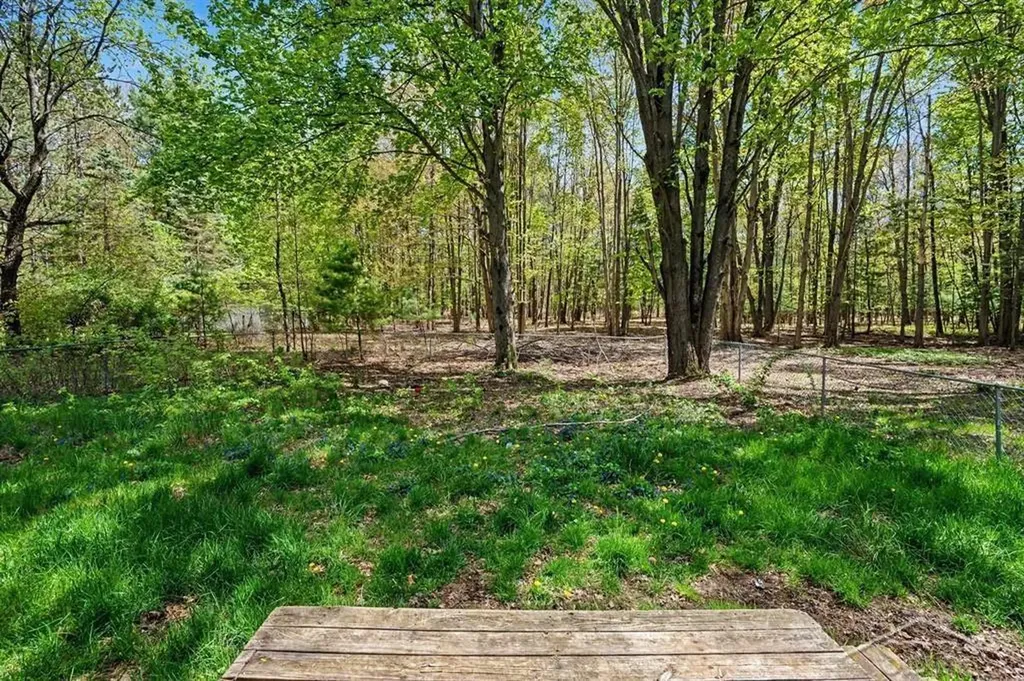 778 E Pine River Road Homer Township MI 48640