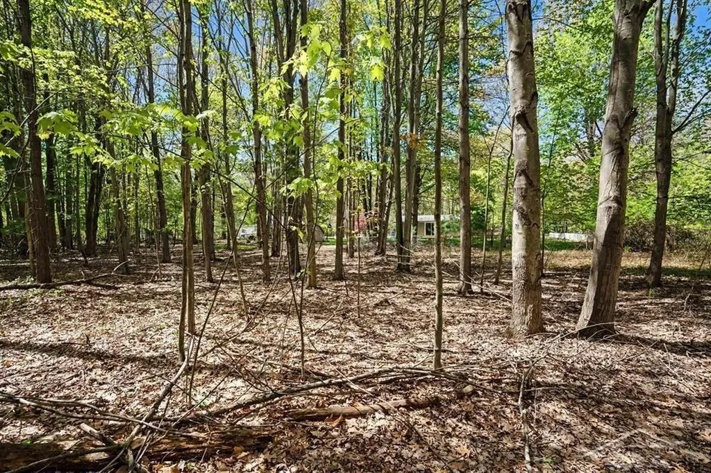 778 E Pine River Road Homer Township MI 48640