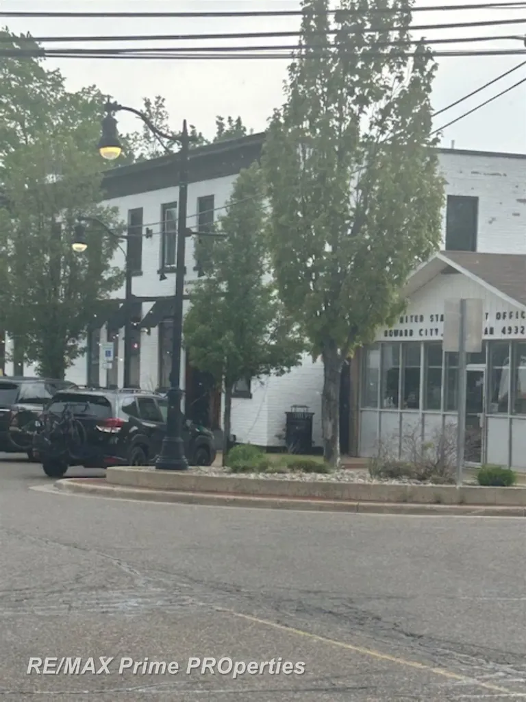418 Locust Street Howard City Village MI 49329