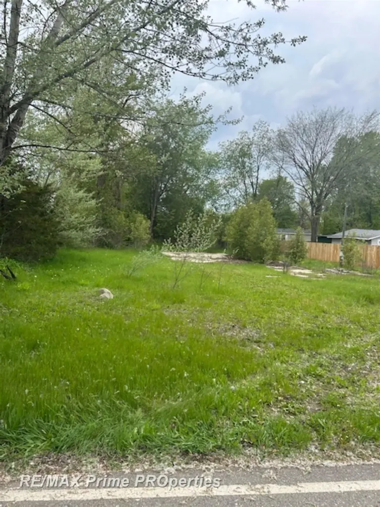 418 Locust Street Howard City Village MI 49329