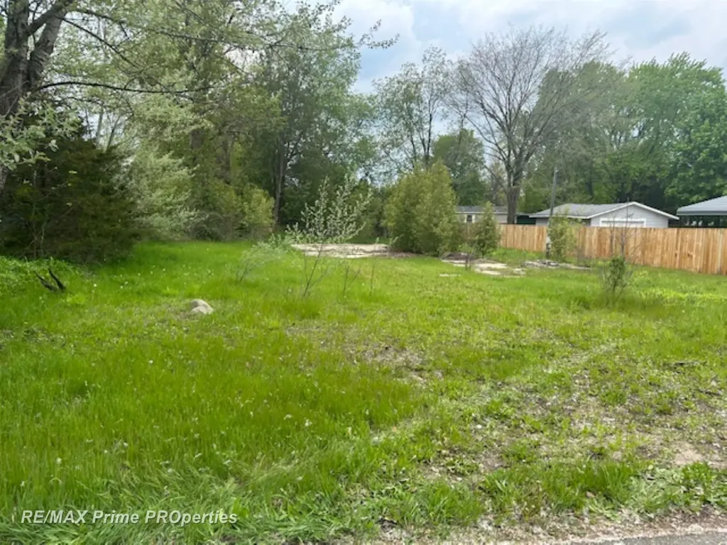 418 Locust Street Howard City Village MI 49329