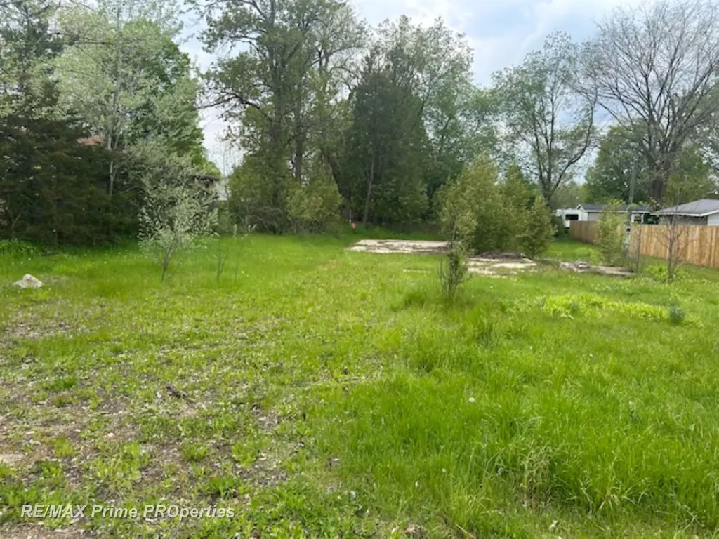 418 Locust Street Howard City Village MI 49329