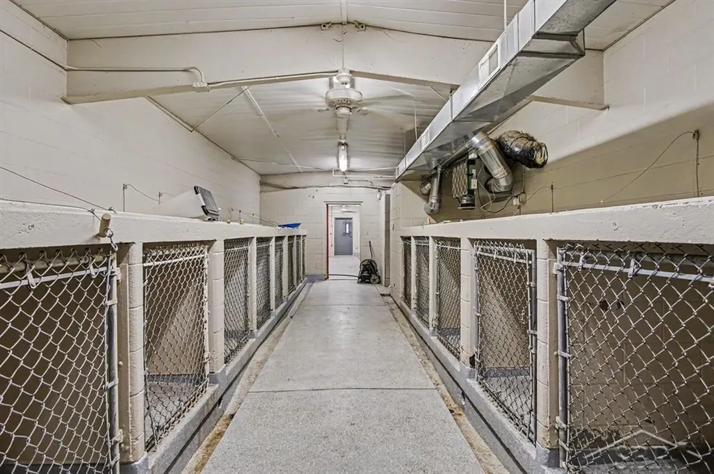 000 Kennel Drive Rockford City MI 49341
