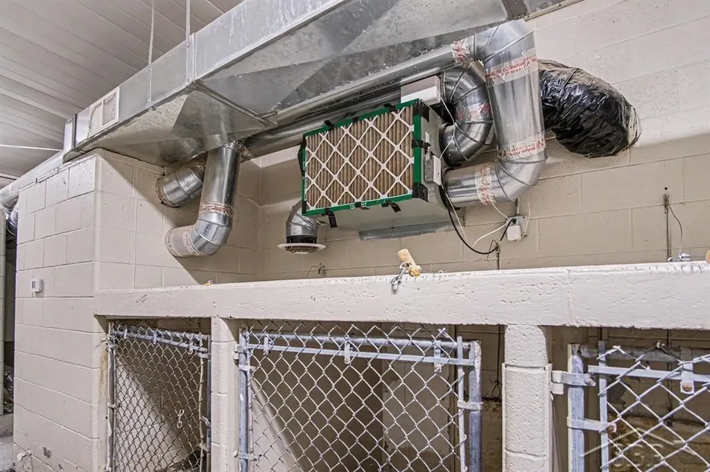 000 Kennel Drive Rockford City MI 49341