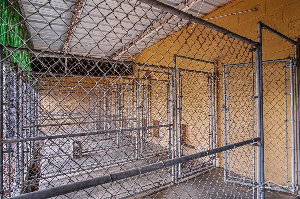 000 Kennel Drive Rockford City MI 49341
