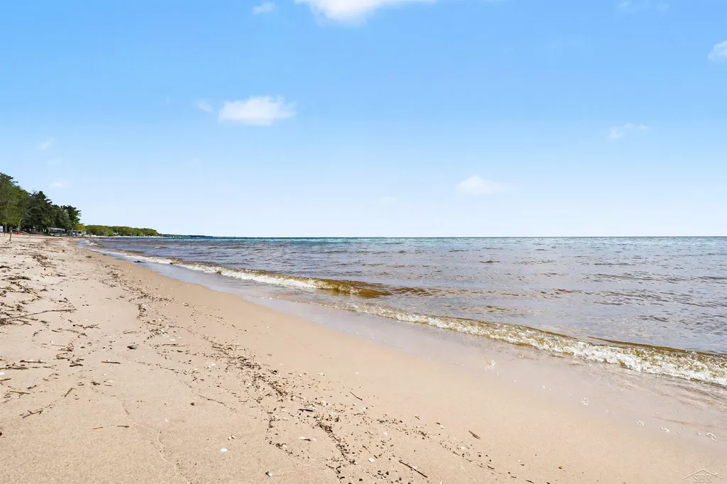 1220 N Huron Road Whitney Township MI 48763