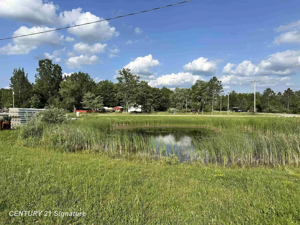 3481 M-30 Road Billings Township MI 48612