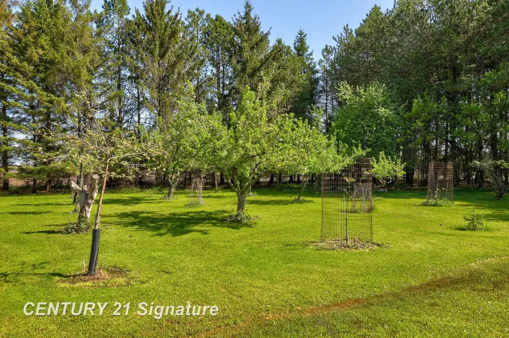 4285 N Iva Road Richland Township MI 48626
