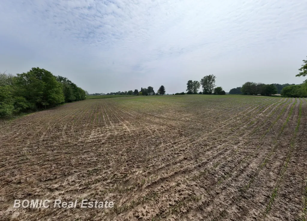 Vl Fulmer Road Millington Village MI 48746