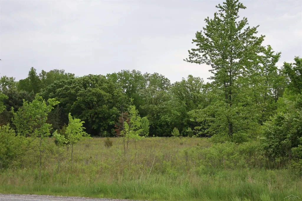 Vl Beyer Road Birch Run Township MI 48415