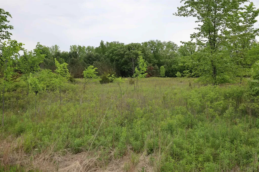 Vl Beyer Road Birch Run Township MI 48415