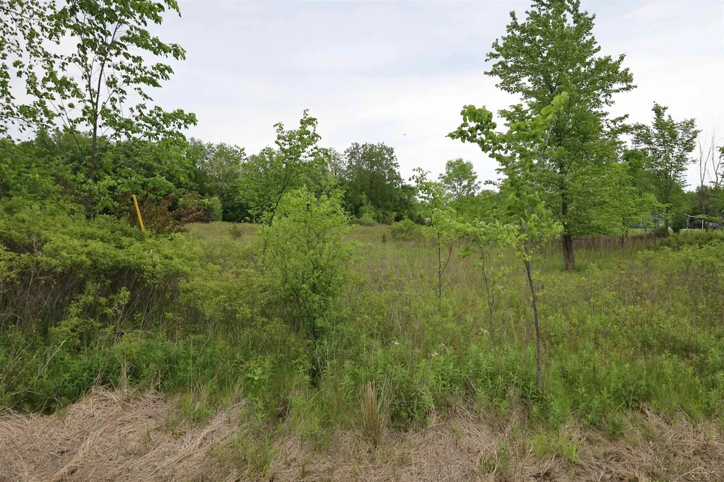 Vl Beyer Road Birch Run Township MI 48415