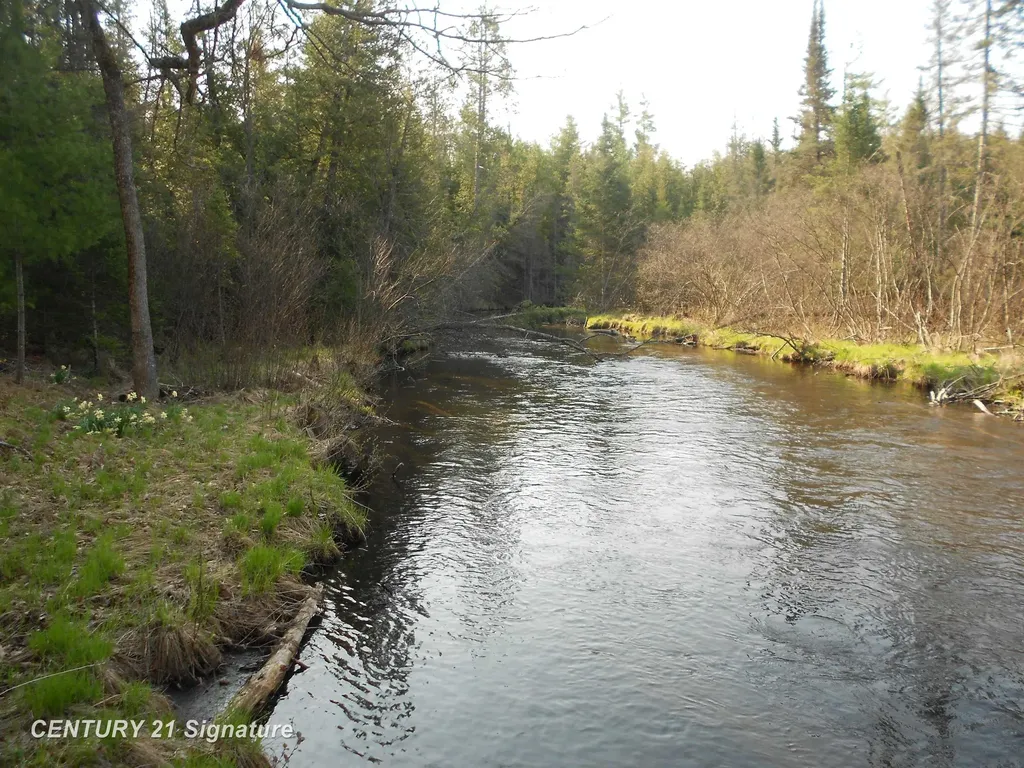 590 Fleetwater Drive Big Creek Township MI 48636
