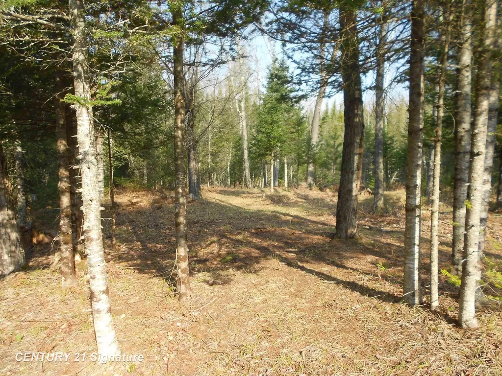 590 Fleetwater Drive Big Creek Township MI 48636