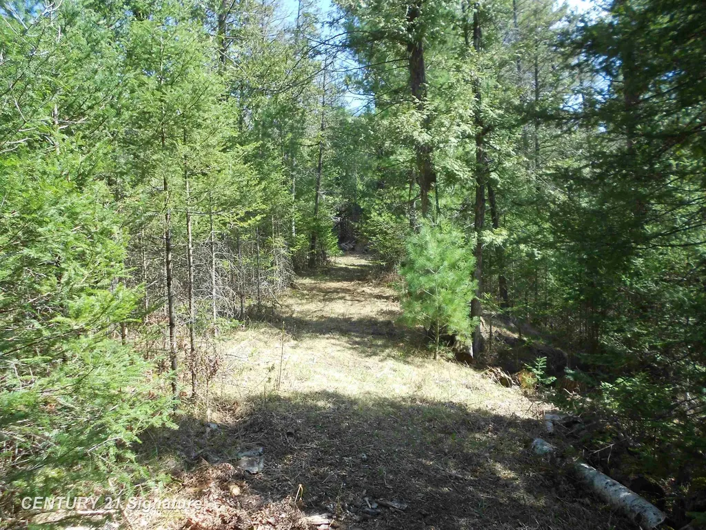 590 Fleetwater Drive Big Creek Township MI 48636