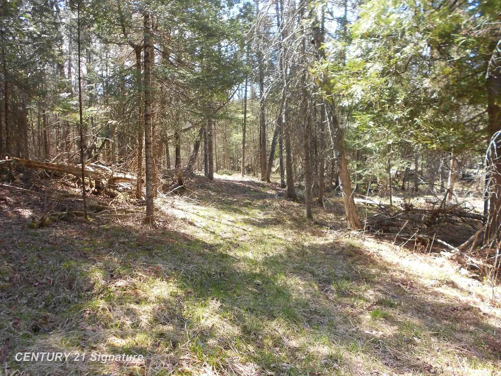 590 Fleetwater Drive Big Creek Township MI 48636