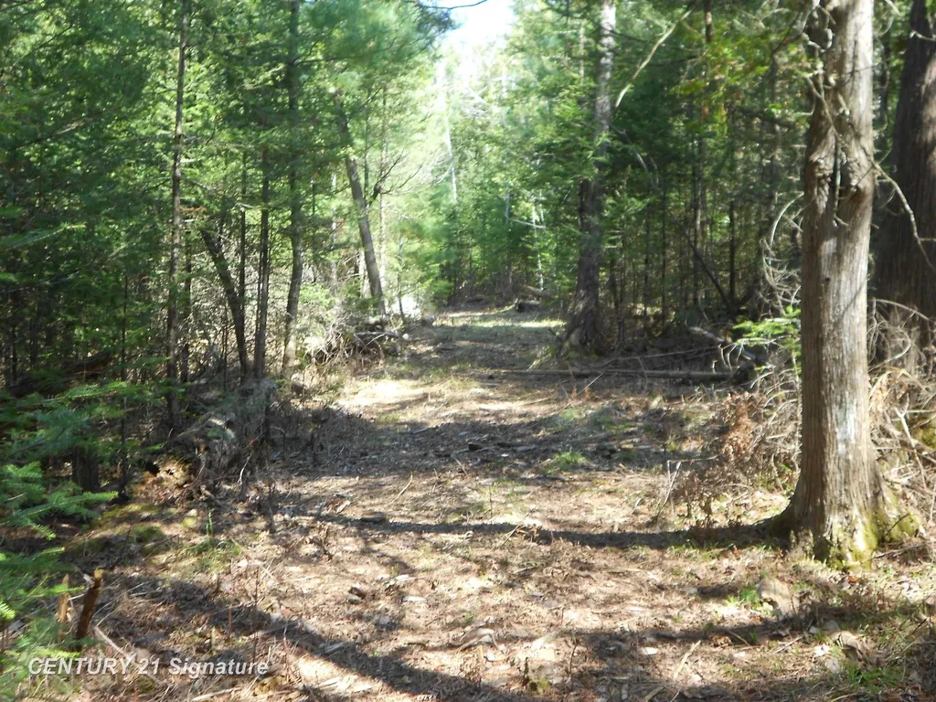 590 Fleetwater Drive Big Creek Township MI 48636