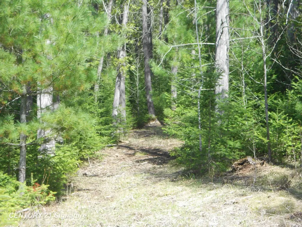 590 Fleetwater Drive Big Creek Township MI 48636
