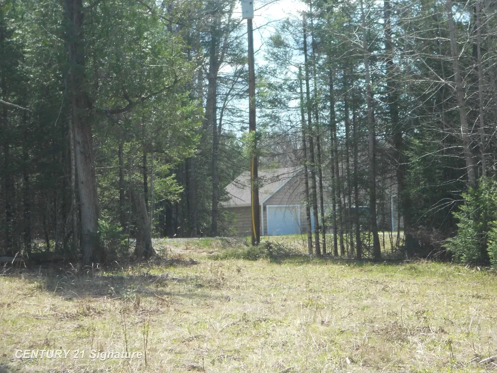 590 Fleetwater Drive Big Creek Township MI 48636