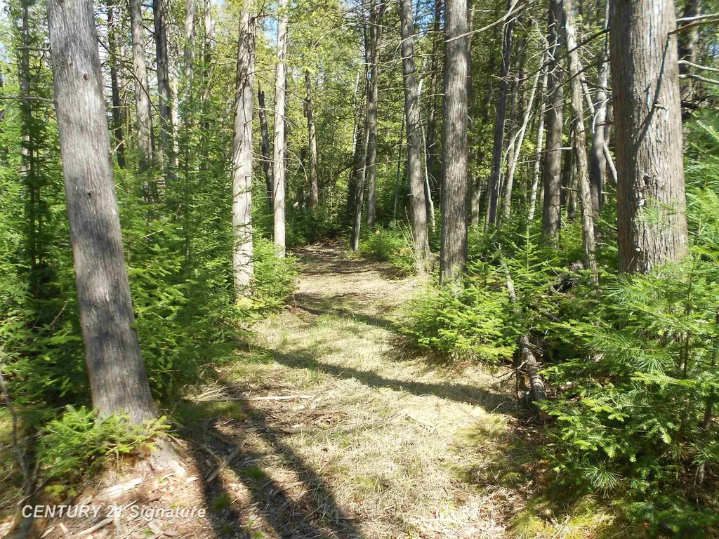 590 Fleetwater Drive Big Creek Township MI 48636