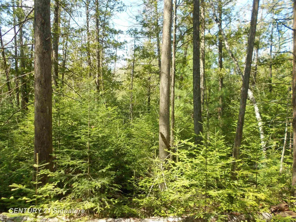 590 Fleetwater Drive Big Creek Township MI 48636