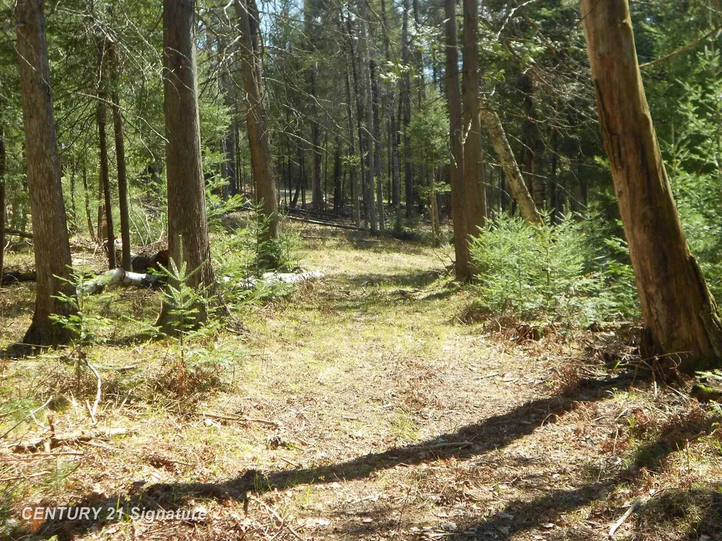 590 Fleetwater Drive Big Creek Township MI 48636
