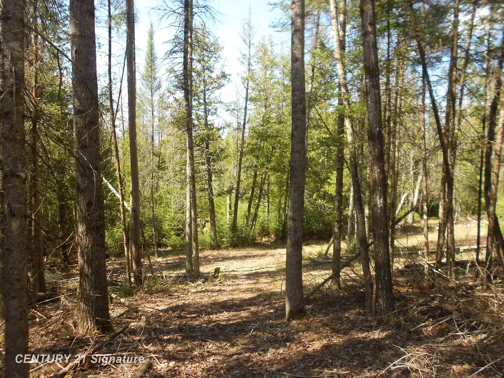 590 Fleetwater Drive Big Creek Township MI 48636